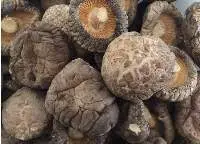 Dried Shitake Mushroom