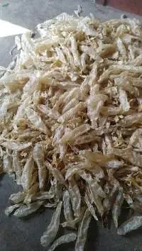 Fish Maw