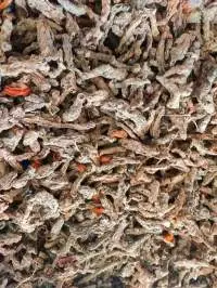 Dried Turmeric Finger
