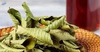 Dried guava leave