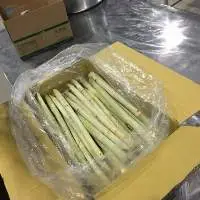 Frozen Sugarcane