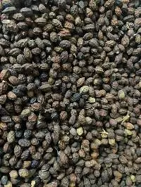 Dried Papaya Seed