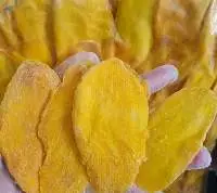 Soft Dried Mango