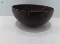 Coconut Shell Bowl