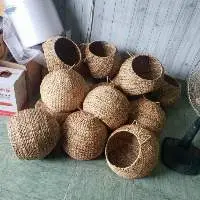 Water Hyacinth Cat House Dog Cat