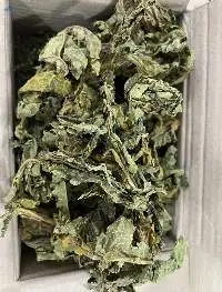 Dried Papaya Leaf