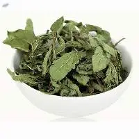 Dried Peppermint Leave