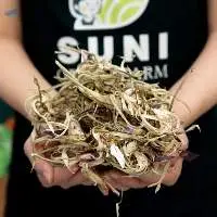 Dried Atiso Flower From Blue Lotus