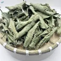 Dried Guava Leaf