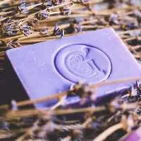 Handmade Sea Moss Soap - Viet Nam