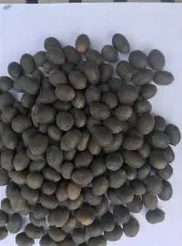 Black Lotus Seeds