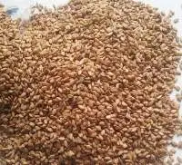 Dried Sesame Seed