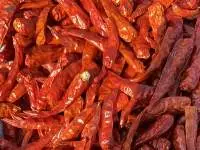 Dried Chilli