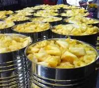 Pineapple canned fresh (in season)