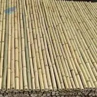 Bamboo Rod