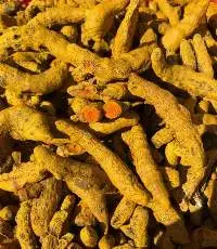 Dried Turmeric Fingers