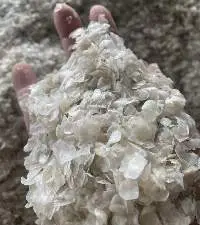 Dried Fish Scales