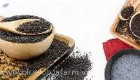 BASIL SEEDS