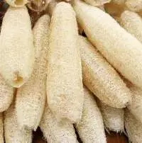 Natural dried loofah