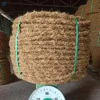 Coir Rope Vietnam