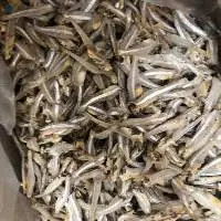 Dried Anchovy Fish