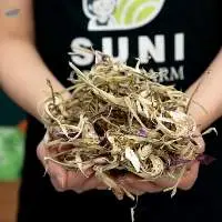 Dried Atiso Flower