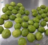 Frozen Avocado Booth