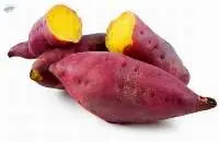 Sweet Potato