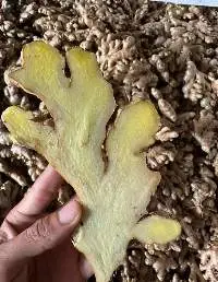Natural Fresh Ginger