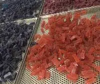 Dried Sea Moss Gummies