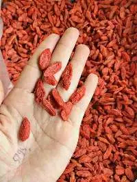 Dried Goji Berries Tea