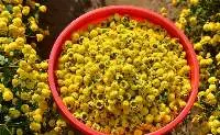 Natural dried Daisy Chamomile