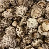 Dried Shiitake Mushroom 100% made in Viet Nam