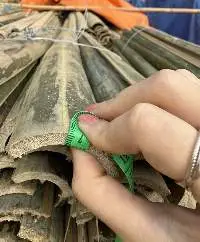 Raw Bamboo Split