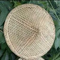 Conical Hat