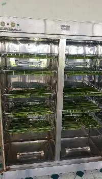 Grass Straws