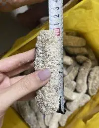 Dried Sea Cucumber