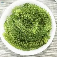 Dehydrate Green Seagrape Seaweed