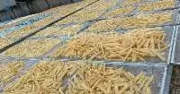 Dried Fish Maws