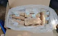 Coffee Wood Chew