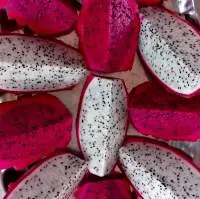 Frozen Dragon Fruit