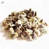 Dried Moringa Seed