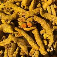Dried Turmeric Fingers From Viet Nam