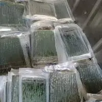 Banana Leaf