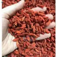 Dried Goji Berries Tea