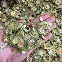 Dried Bitter Melon