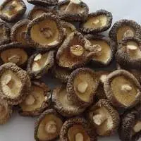 Dried Shiitake Mushroom