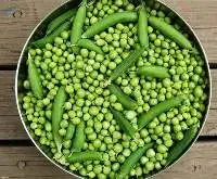 IQF Frozen Green Pea (Pisum sativum)