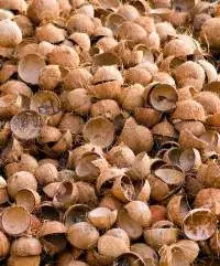 Dried Haft Cut Coconut Shell