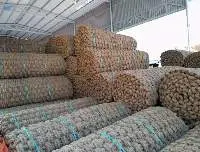 Natural Coir Mat Blue Lotus